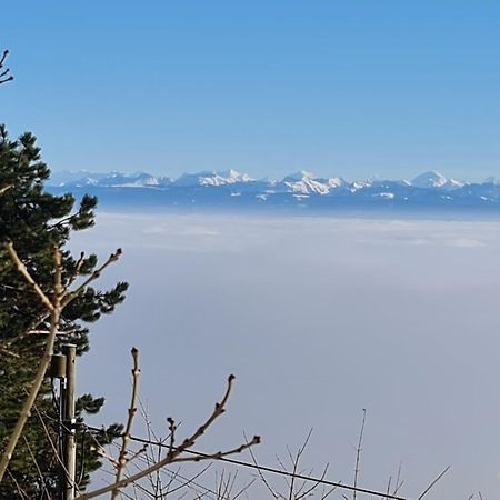 Mont Blanc Chalet Vila Grandevent Exterior foto